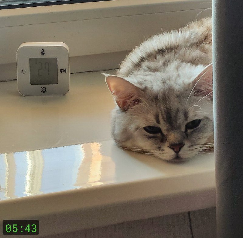 У меня такая же морда была, когда с температурой валялась в 90° жару да, а пока откисала, сделала дискорд сервер, завтра на стриме расскажу и буду пускать вас туда в 18