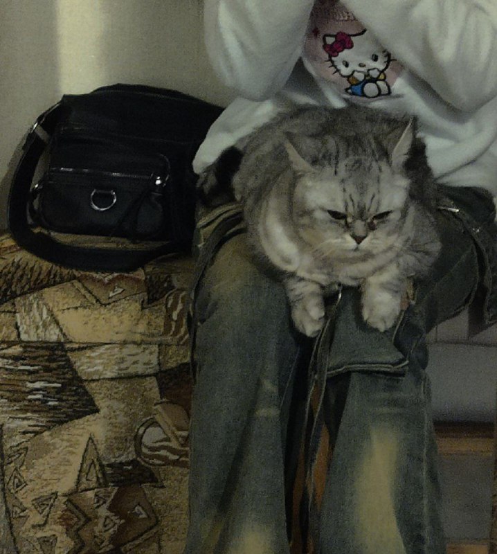 Заминировали. Опоздала на вб..